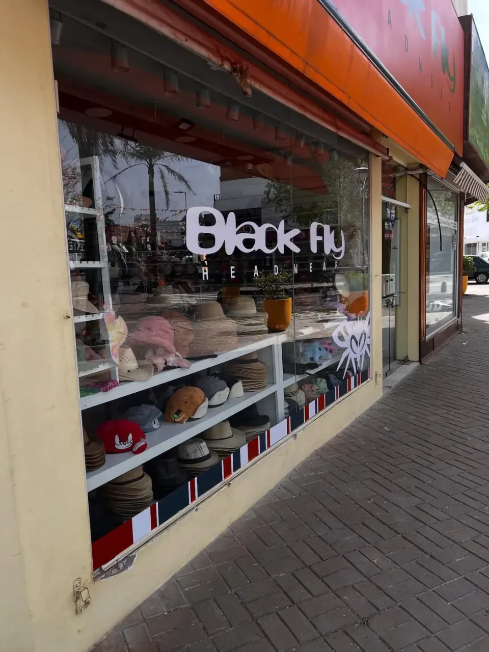 Black Fly: frente y vidriera — foto 5