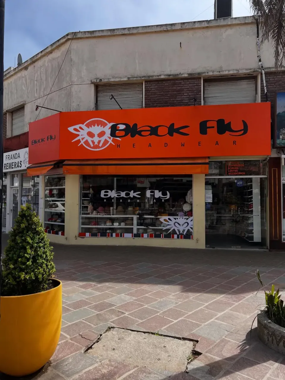 Black Fly: frente y vidriera — foto 1