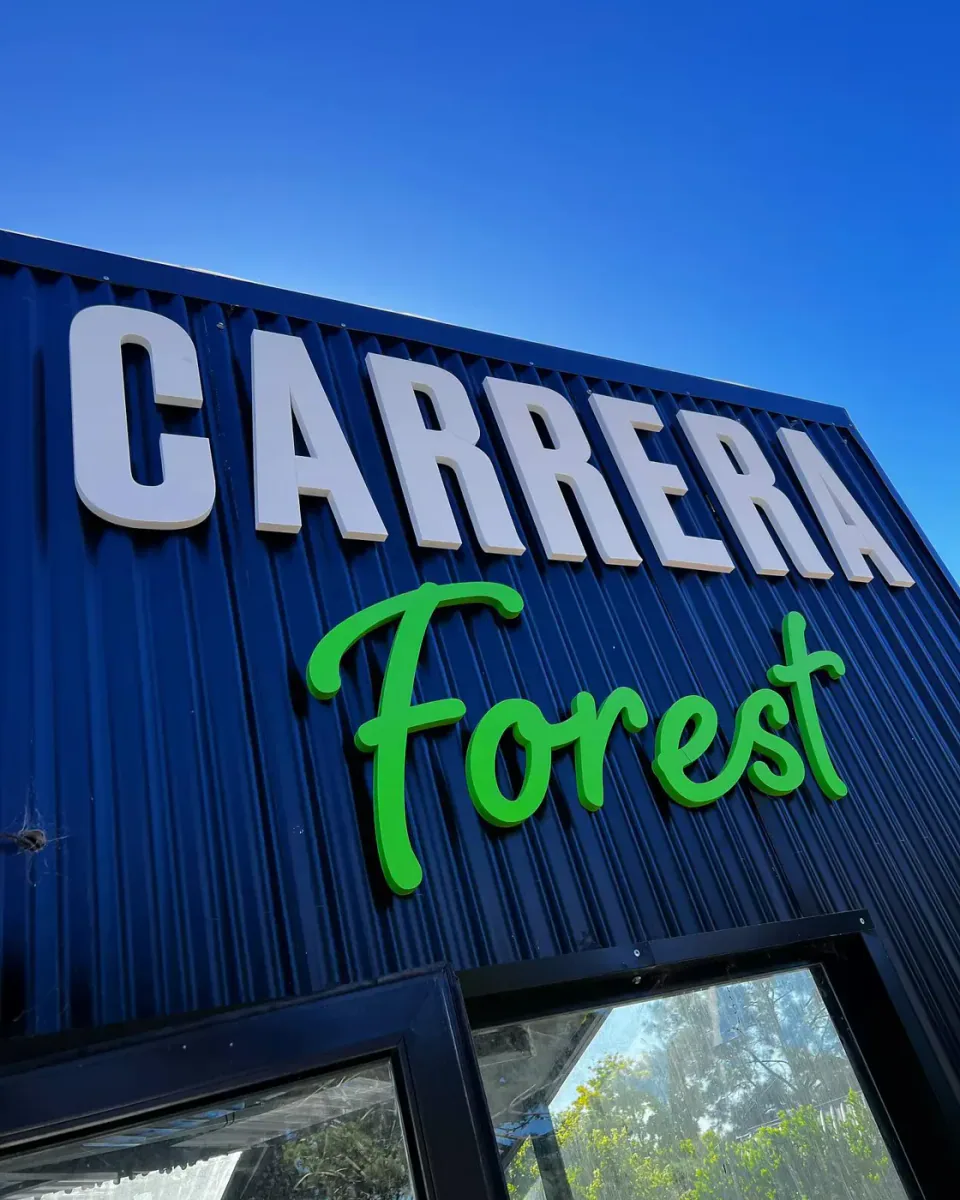 Carrera Forest: corpóreas