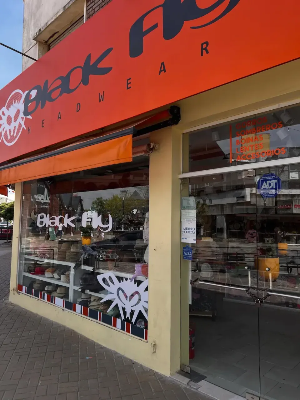 Black Fly: frente y vidriera — foto 4