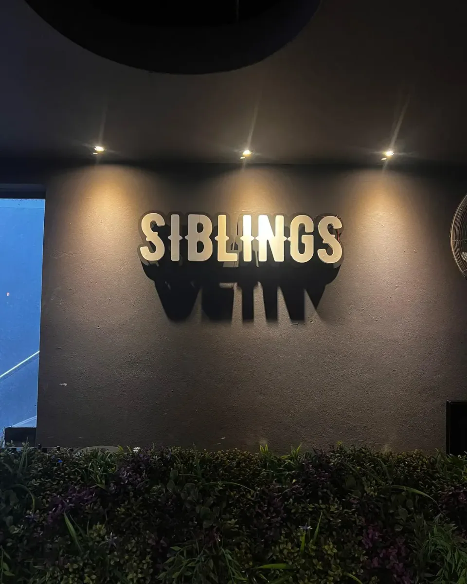 Siblings: polyfan con LED — foto 4