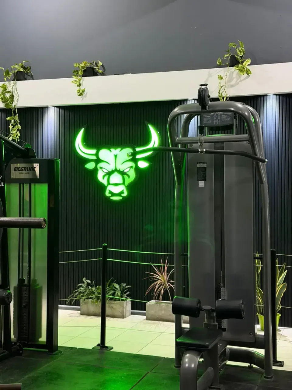 Cartel luminoso de acrílico líquido para Bull — foto 3