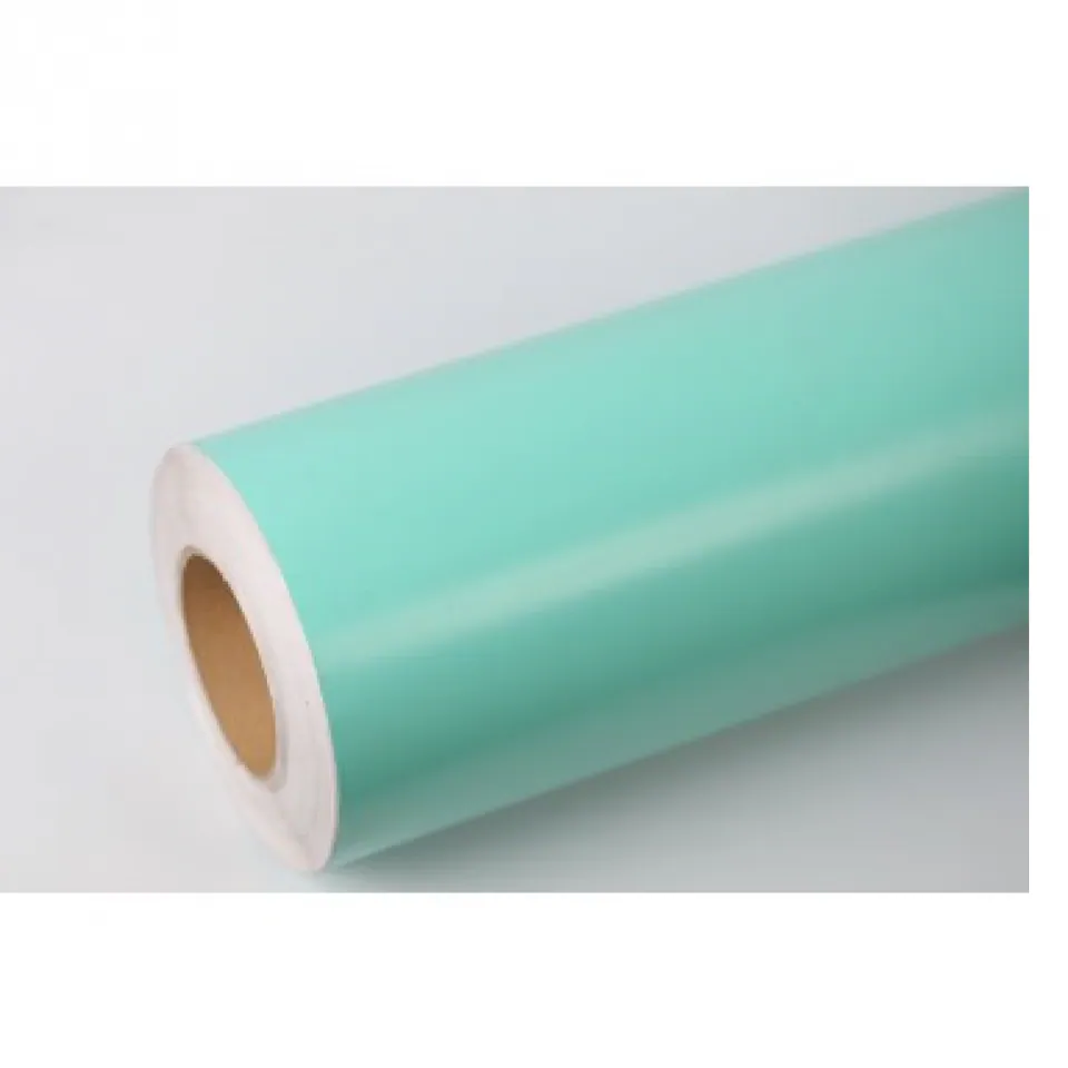 Vinilo Mc Cal Serie 2000 Mate Menta 2097 0,61m